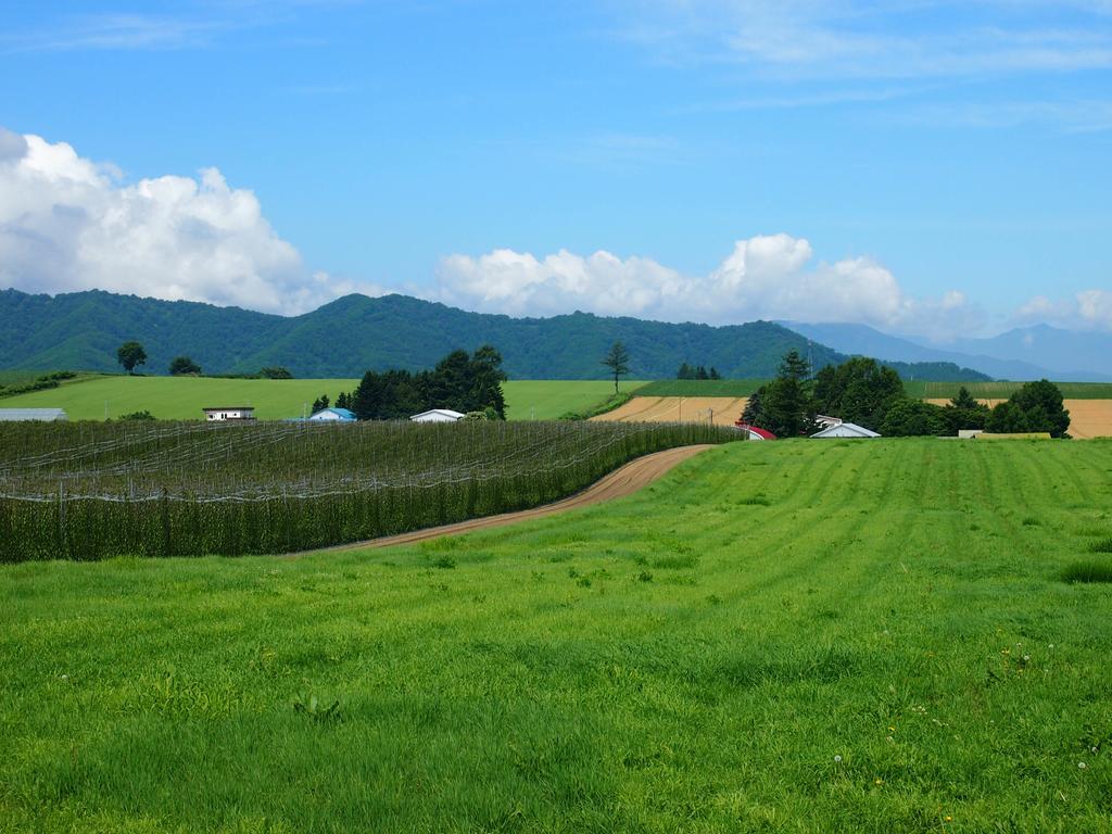 中札内 坎特伯雷旅馆旅舍 外观 照片